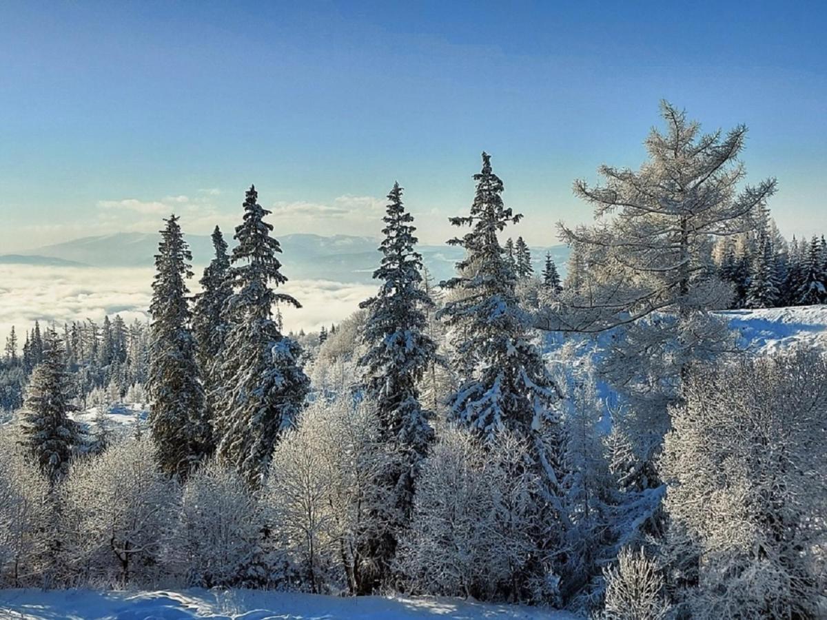 - Rezidencia Armeria 30 Apartment Štrbské Pleso